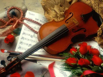 Скрипка, ноты и розы: обои с цветами, картинки, фото 1600x1200