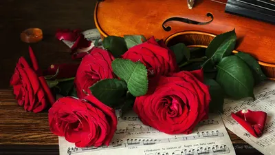 Цветы в скрипке, внутри скрипки …» — создано в Шедевруме