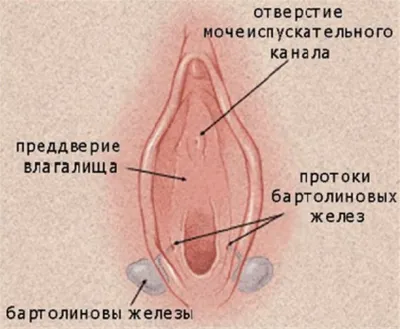 Трахнул до сквирта (55 фото) - порно trahbabah.com