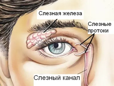 Иллюстрация вектора красивая с слезы на глазах. Глаза слезятся женщин. Глаза  с кровью, проходящих в изолированной фон. Иллюстрация вектора - иллюстрации  насчитывающей девушка, глаза: 189806844