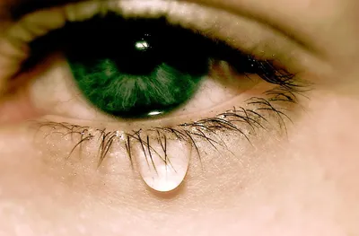 Телеканал Доктор - 🔹Базальные (базовые, основные) слёзы постоянно  выделяются для смачивания глаз. При нехватке слёзной секреции наступает  раздражение, который называется синдром «сухого глаза». 🔹Рефлекторные слёзы  появляются в ответ на раздражители ...