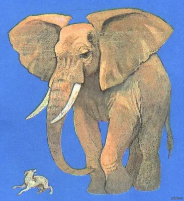 Купить книгу «Слон и Моська. БАСНИ», Иван Крылов | Издательство «Махаон»,  ISBN: 978-5-389-14567-2