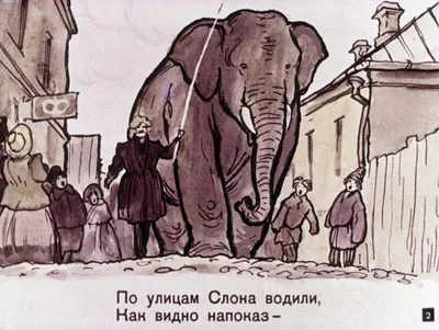 Слон и моська :: Alexander Andronik – Социальная сеть ФотоКто