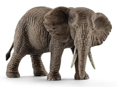 Красивый взорвать африканского слона в Кении Самбуру Стоковое Изображение -  изображение насчитывающей красивейшее, одичало: 169428019