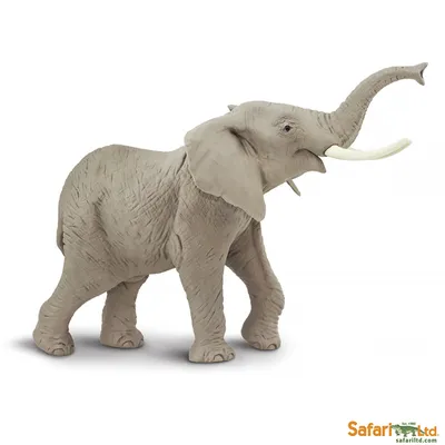 795 113 рез. по запросу «Слоны» — изображения, стоковые фотографии,  трехмерные объекты и векторная графика | Shutterstock
