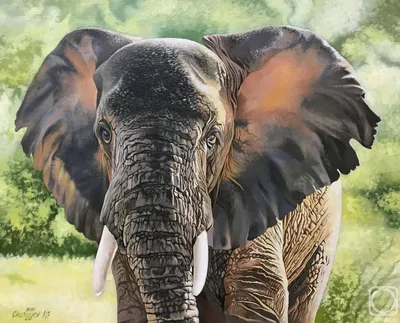 Фигурка Африканский слон 14762, Schleich - Купить в Украине | БАВА