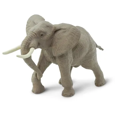 Вид Сзади На Большого Африканского Слона Идущего В Бушвельд — стоковые  фотографии и другие картинки Африка - iStock