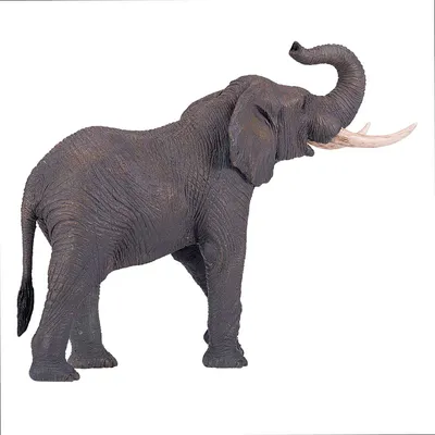 Африканский слон - ePuzzle фотоголоволомка