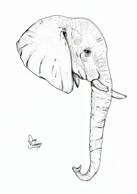 Рисунок слона с бивнями | Премиум Фото