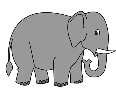 Рисунок слона, слон, белый, млекопитающее, кошка png | Klipartz