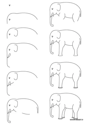 Рисунок слона | Рисунок, Слон, Рисование