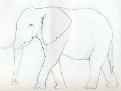 Бесплатный STL файл Минималистский геометрический рисунок слона  🖼️・3D-печать объекта для загрузки・Cults