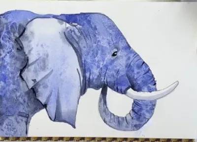 Рисунок слона | Пикабу