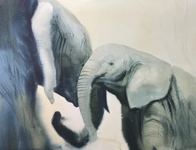 Раскраски Раскраска Рисунок слона , Раскраски .