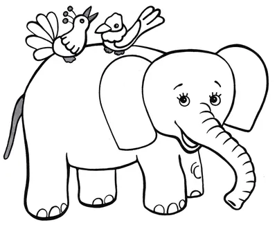 Как нарисовать слона для начинающих | Бесплатные онлайн уроки от Художник  Онлайн