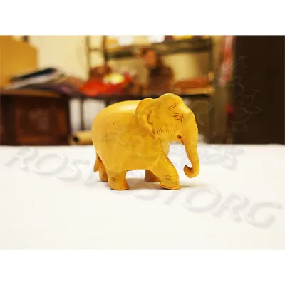 Слон рисунок карандашом - 81 фото