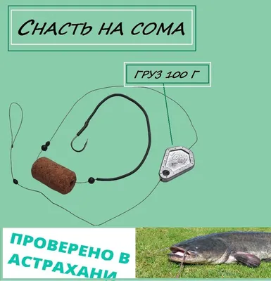 Снасть на сома с поплавком - купить по выгодной цене в интернет-магазине  OZON (1160567917)