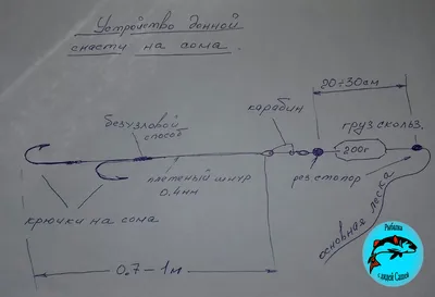 Ловля Сома на Спиннинг. Видео | Как Поймать Сома?