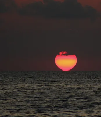 Картинки море солнце - 57 фото