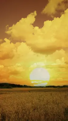7 необычных явлений солнца в небе | Статья интересная | Дзен