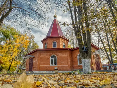 Калининский парк имени 300-летия Кубанского казачьего войска, Каневская -  «Калининский парк в станице Каневской. Хороший парк для сельской местности.  » | отзывы