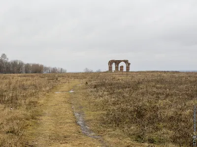 Археологи показали клад, найденный на Старой Рязани (видео)