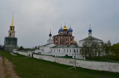 Рисунки Старой Рязани — Белая рысь