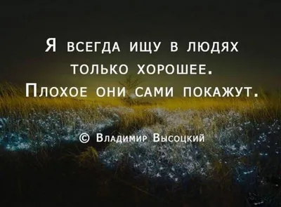 Красивые цитаты о любви, жизни, людях Мудрые высказывания и афоризмы  Анджелины Джоли | Глоток Мотивации | Дзен