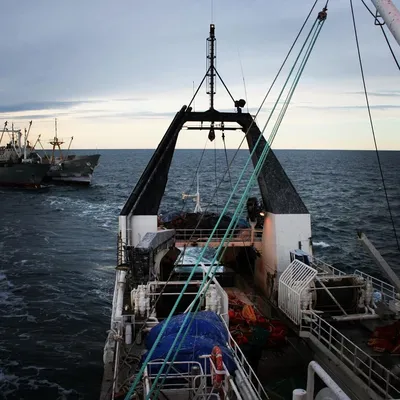 Кризис в Красном море. Нефть растет, а танкеры уплывают — Финам.Ру