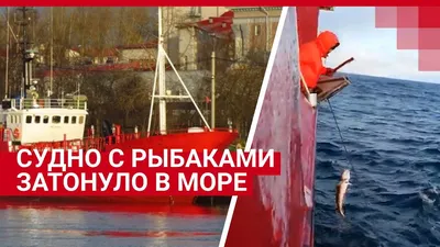 Траулер-процессор «Белое море» Архангельского тралового флота готовится к  первому выходу в море