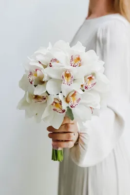 Фото свадебных букетов из орхидей фото