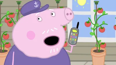 Набор игровой Hasbro Друзья свинки Пеппы в ассорт. купить в детском  интернет-магазине ВотОнЯ по выгодной цене.