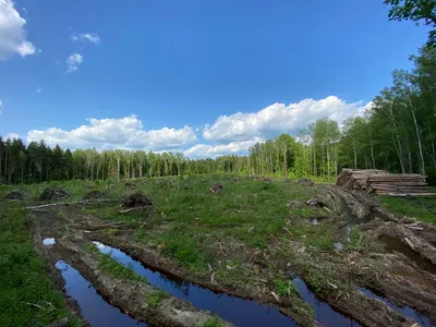 Байкал со спутника - актуальный снимок