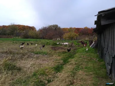 Экспедиция в Западные Саяны