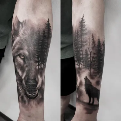 alevtinatattoo #rte #rtecrew #tattoo #татуировка #рте #москва #тату #лес  #деревья #forest | ВКонтакте