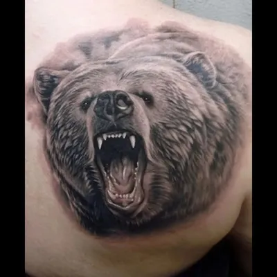 Тату на руке медведь - 6 Фото и значение татуировок 2023