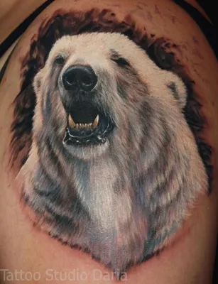 Тату на тему Медведь | Каталог Maze Tattoo