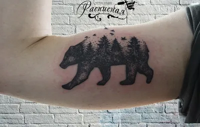 Татуировка в Пятигорске - Татуировки - Красота: 45 тату-мастеров