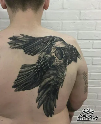 Татуировки на плече в СПБ от Kokintattoo