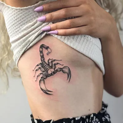 Тату эскизы \"Скорпион\" - VeAn Tattoo