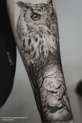 Тату сова и лес на руке | Блог про татуировки pavuk.ink | Маленькая татуировка  совы, Татуировки совы на груди, Дизайн татуировки совы