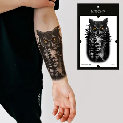 Тату Сова — Owl Tattoo | Татуировка Солнечногорск | 89919382822 |KOT.INK -  Tattoo Татуировка в Солнечногорске +7 (991) 938-28-22