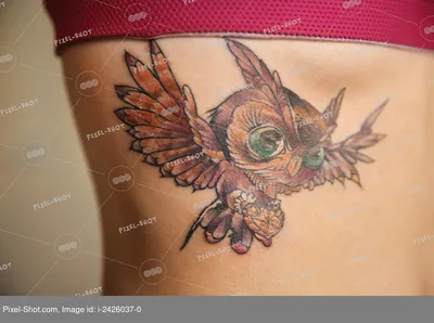 Тату Сова – Значение и Эскизы Татуировки с Совой | Tattoo-ideas.ru | Дзен