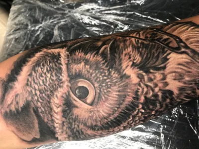 Тату сова на шее - 8 Фото и значение татуировок 2023
