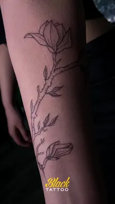 Тату цветы | Flower tattoo, Tattoos