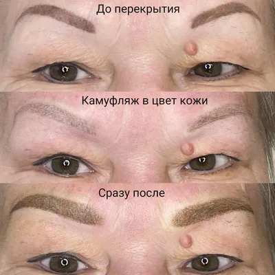 Фото татуажа бровей: зажившие брови, до и после процедуры