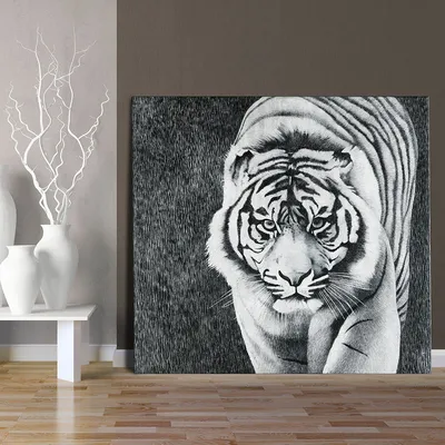 черно белое фото белого тигра, черно белое изображение тигра фон картинки и  Фото для бесплатной загрузки