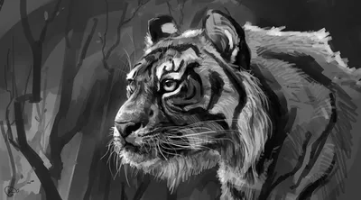 Художественный рисунок тигра в черно-белом цвете🐯🐅✏️. Размещайте заказ и  покупайте!...