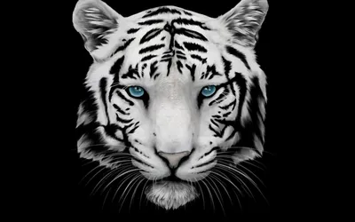 Тату черно-белая тигр - 41 Фото и значение татуировок 2024