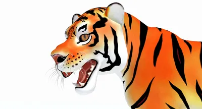 Мастер Тигрица | Тигры вики | Fandom